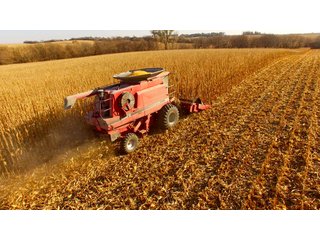 Property photo 3 - LAND AUCTION - 664+/- ACRES OFFERED IN 17 TRACTS IN CASS CO., NEBRASKA